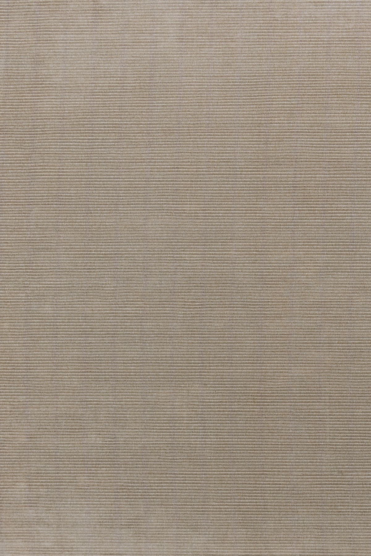 N03OAKWWIDE2672