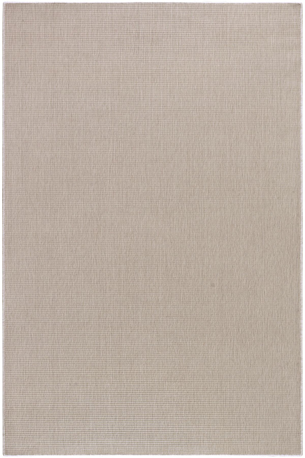 Birch