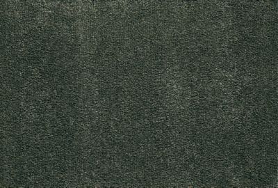 LEOLINA SAMPLE