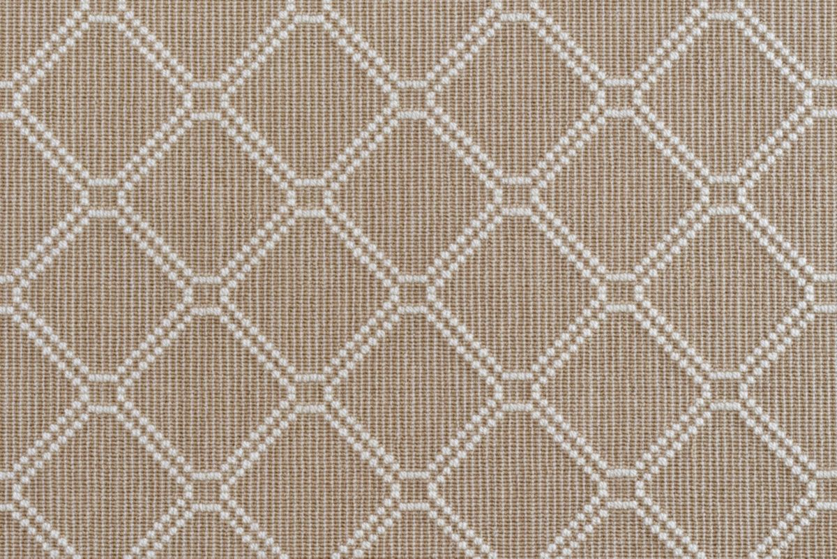 Fawn