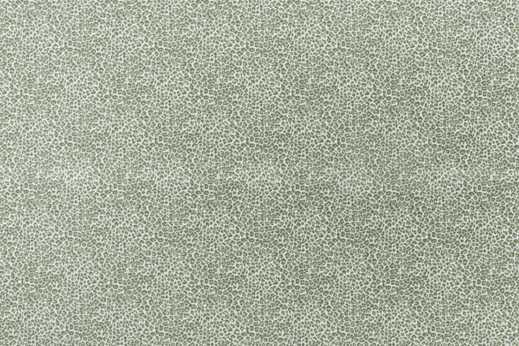 Grass