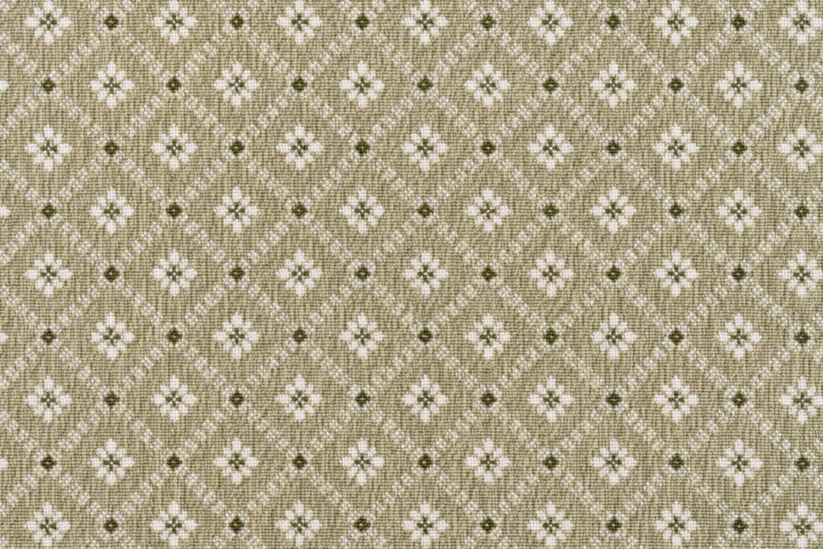 Lichen