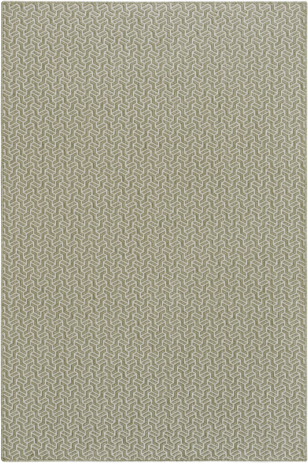 Lichen