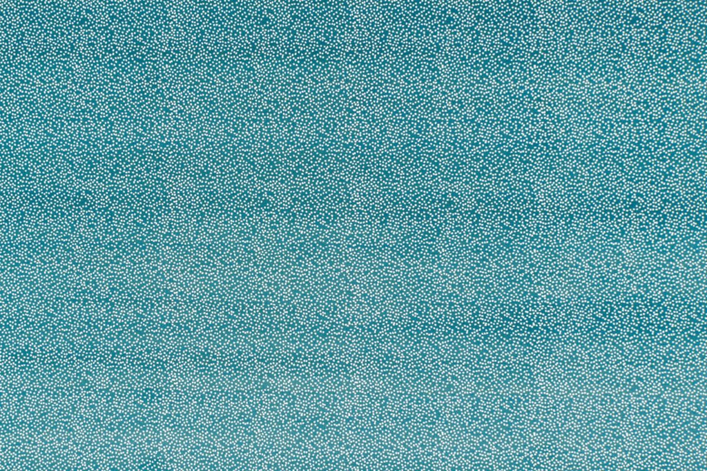 Meadow