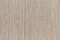Treemont Stria - Mocha Round 5'0''
