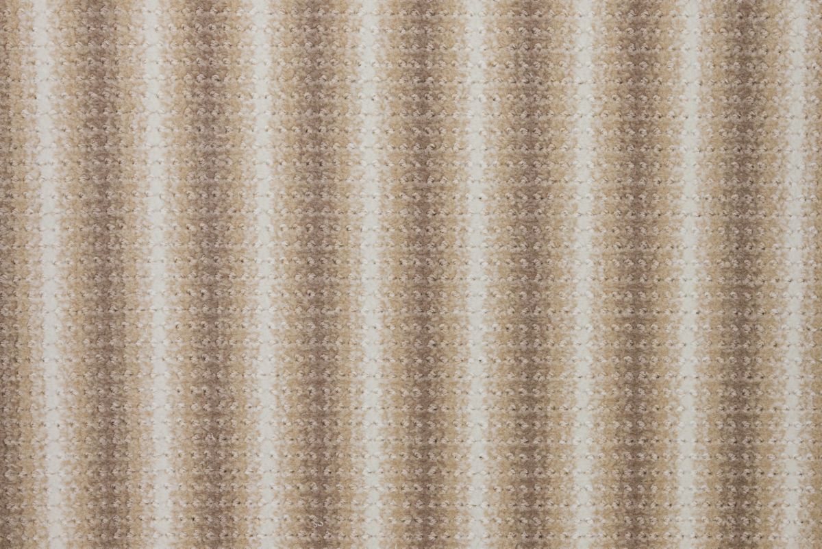 Sahara