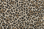 Sahara