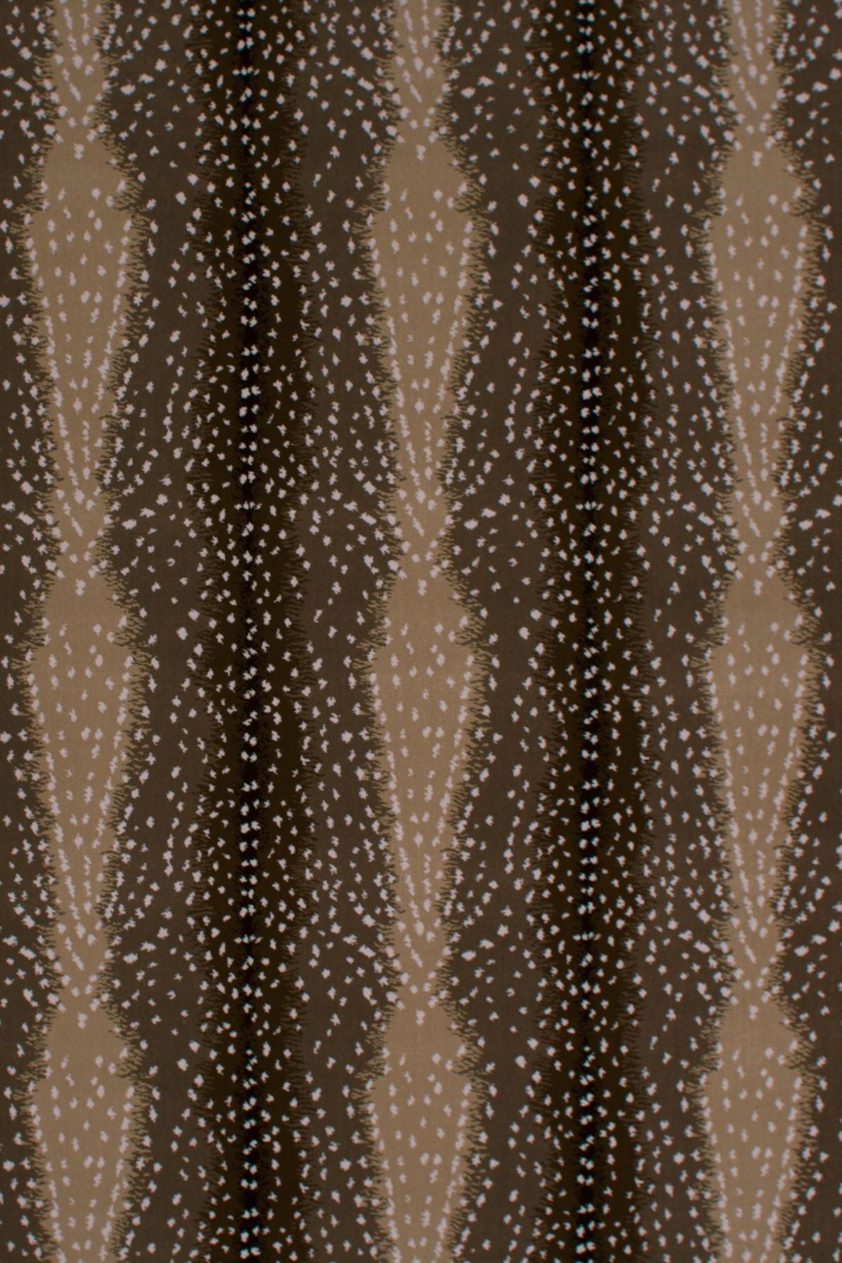 T01000707_ALT2