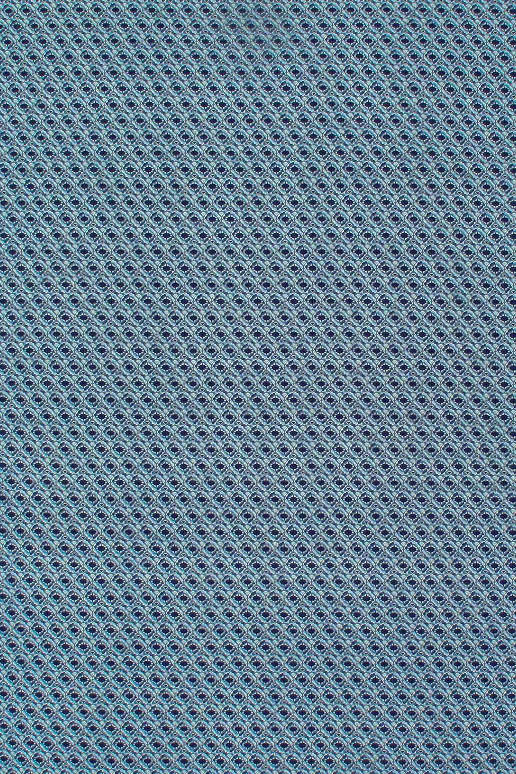 T01000923_ALT2