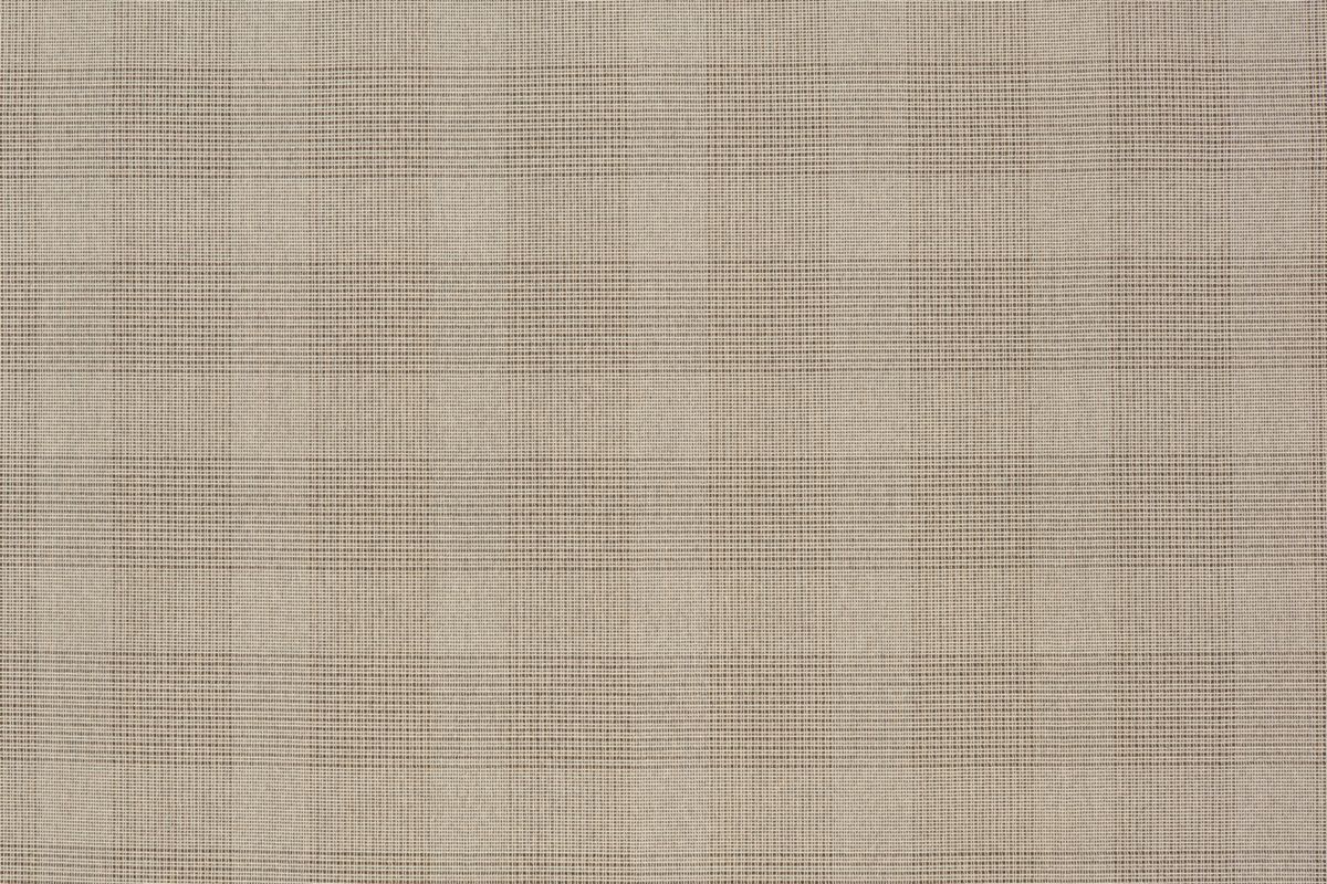 T01002090_ALT2