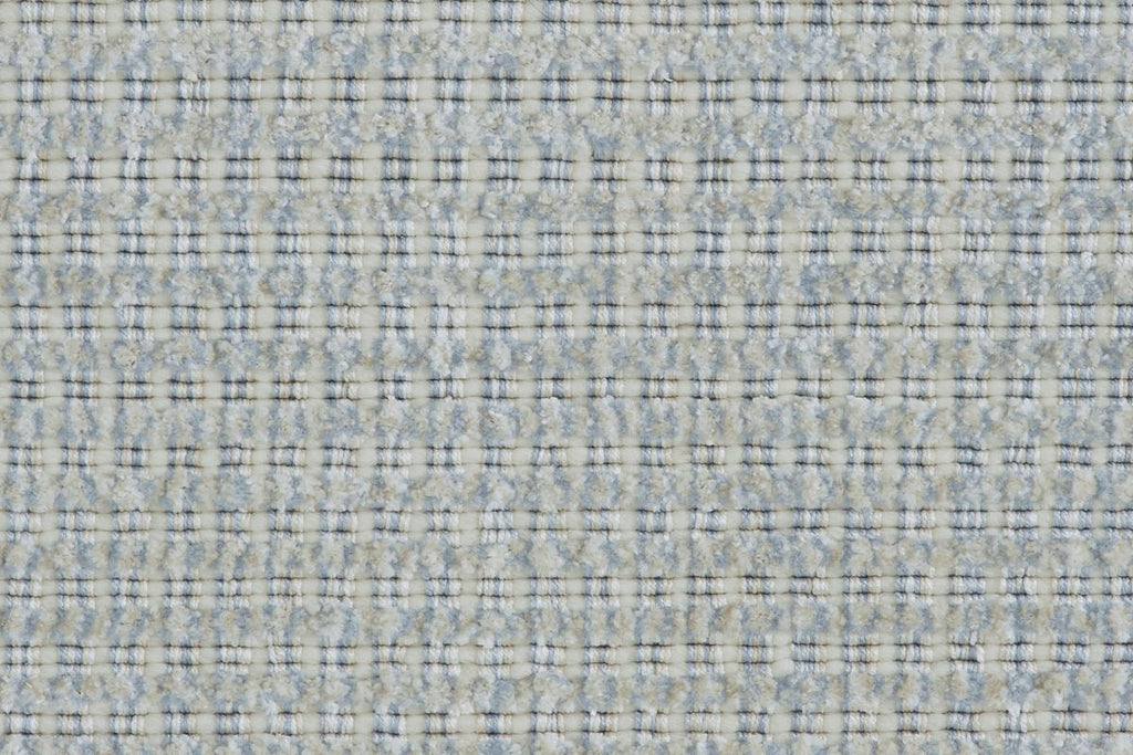 T01006435_CL