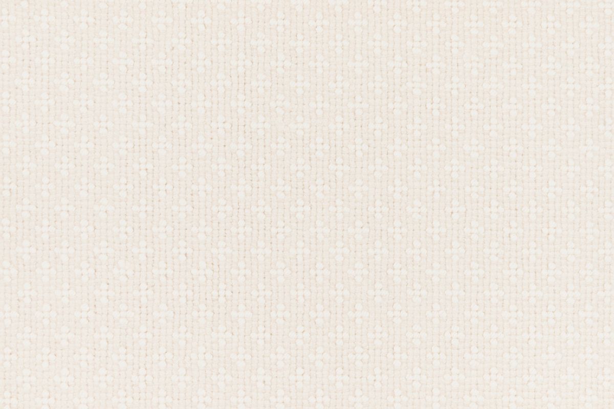 T01006479_CL