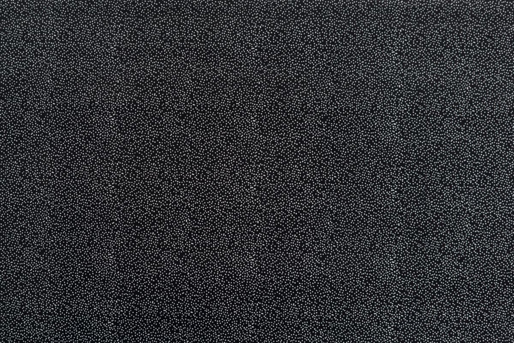 T01007028_ALT2