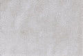T01009319_SAMPLE