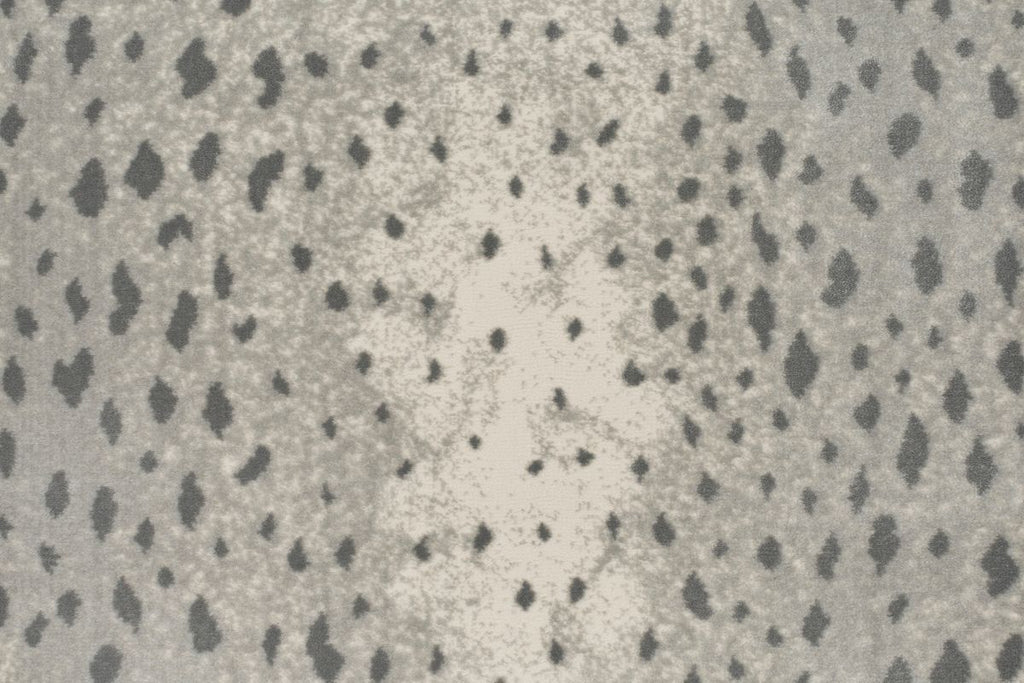 T01009577_CL