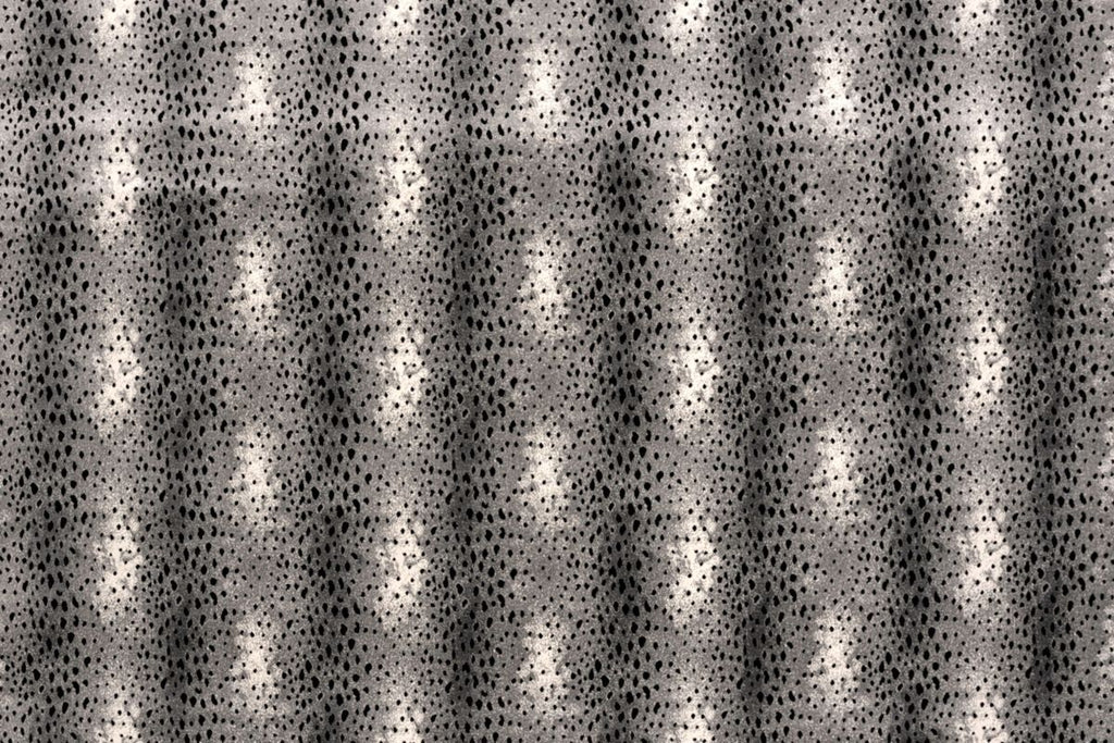 T01009578_ALT2