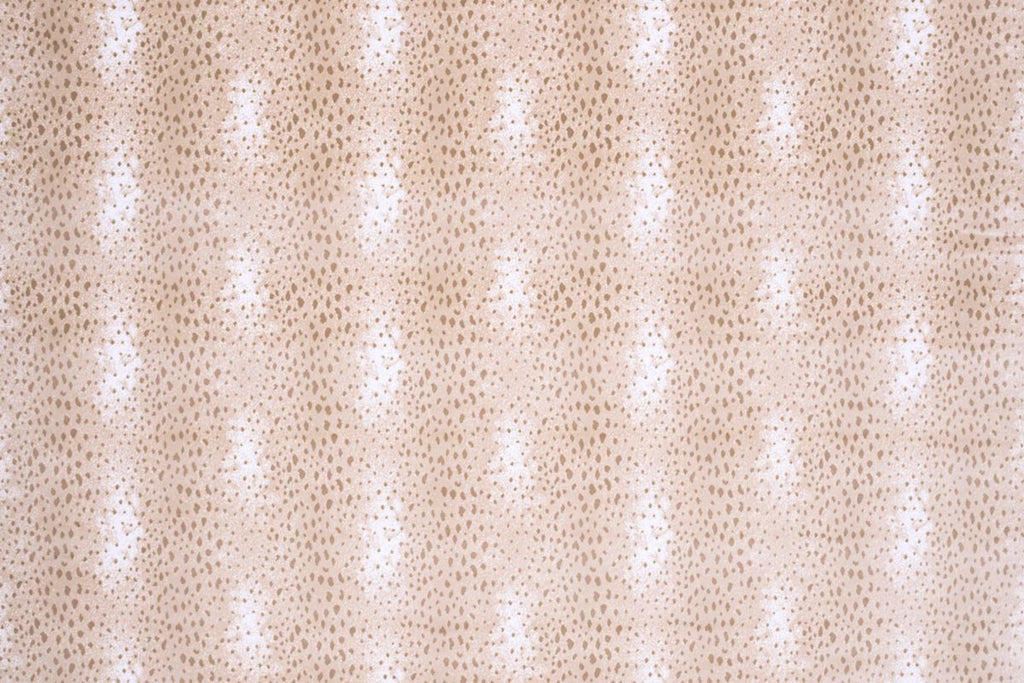 T01009579_ALT2