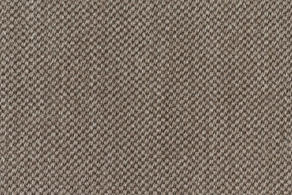 T01009985_CL