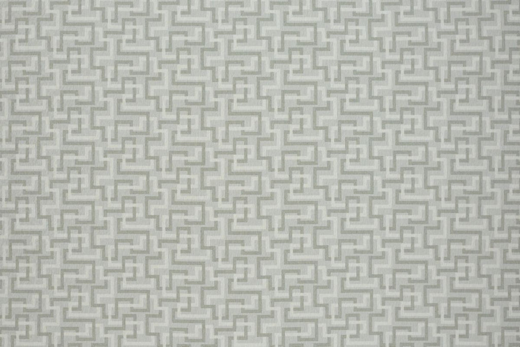 T01010134_ALT2