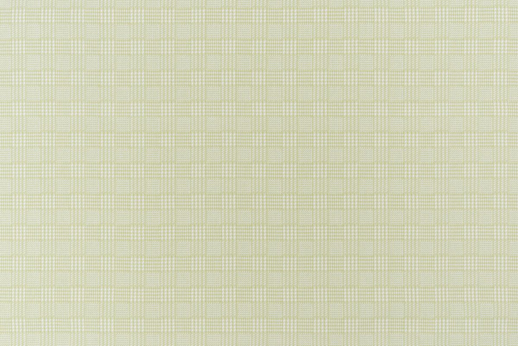 T01010238_ALT2