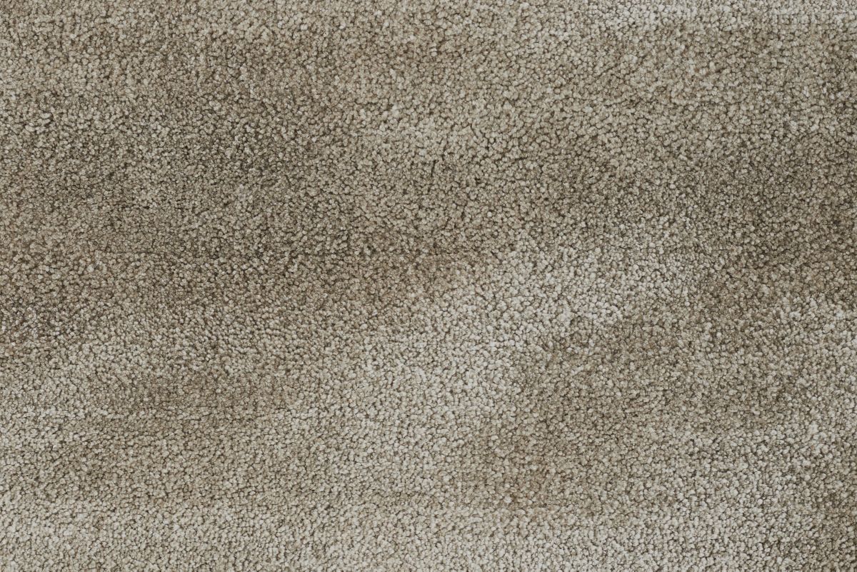 T01011073_CL
