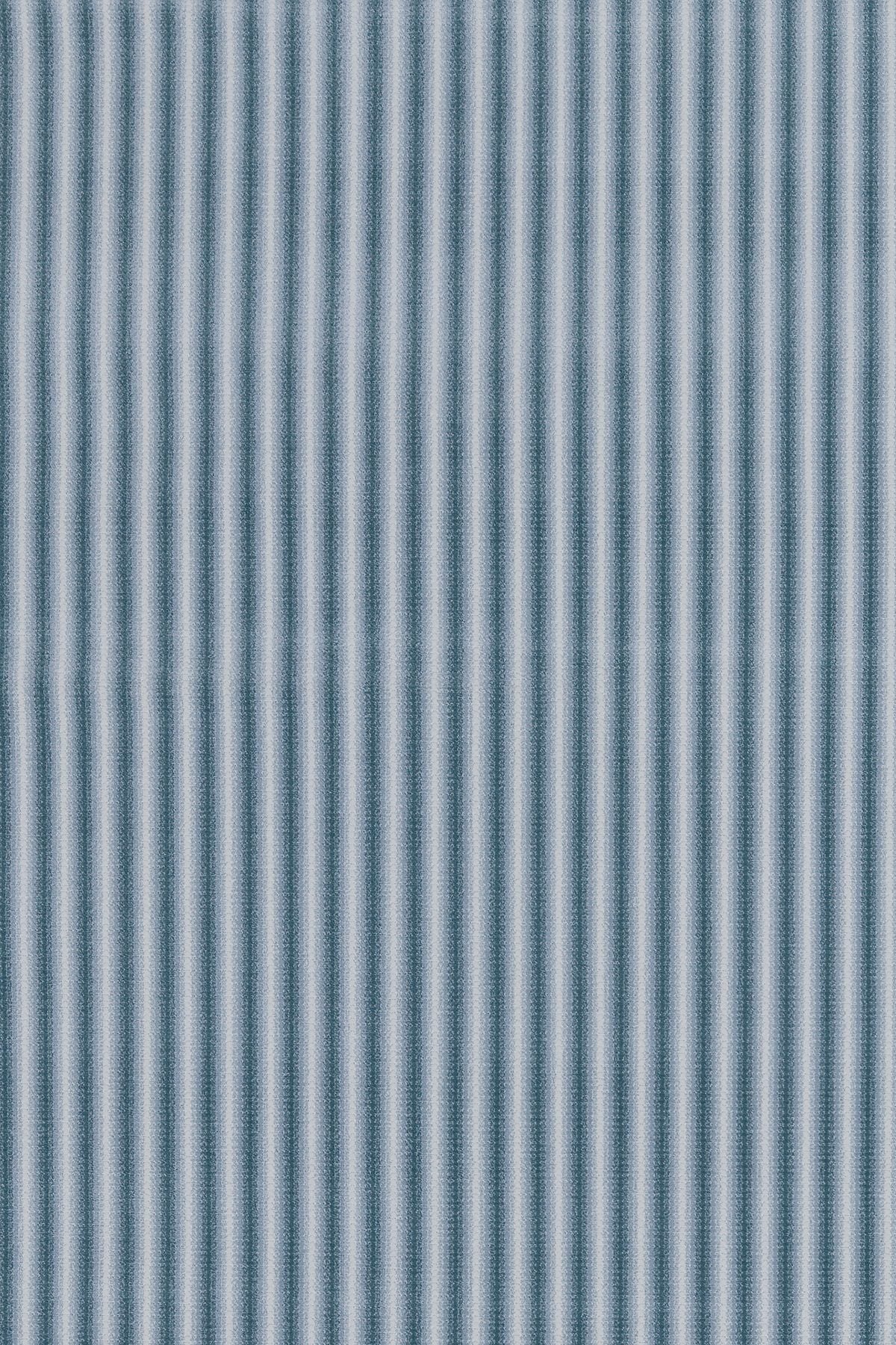 T01013536