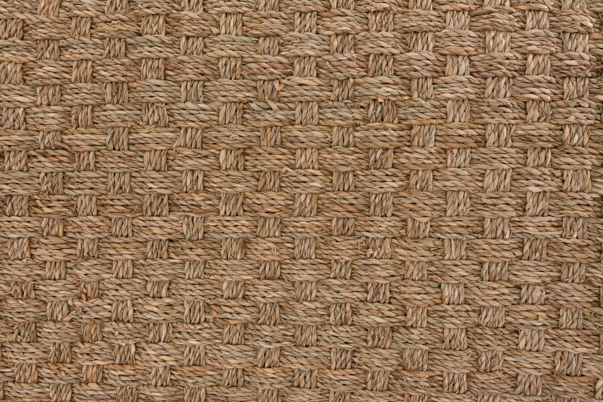T01015747_CL