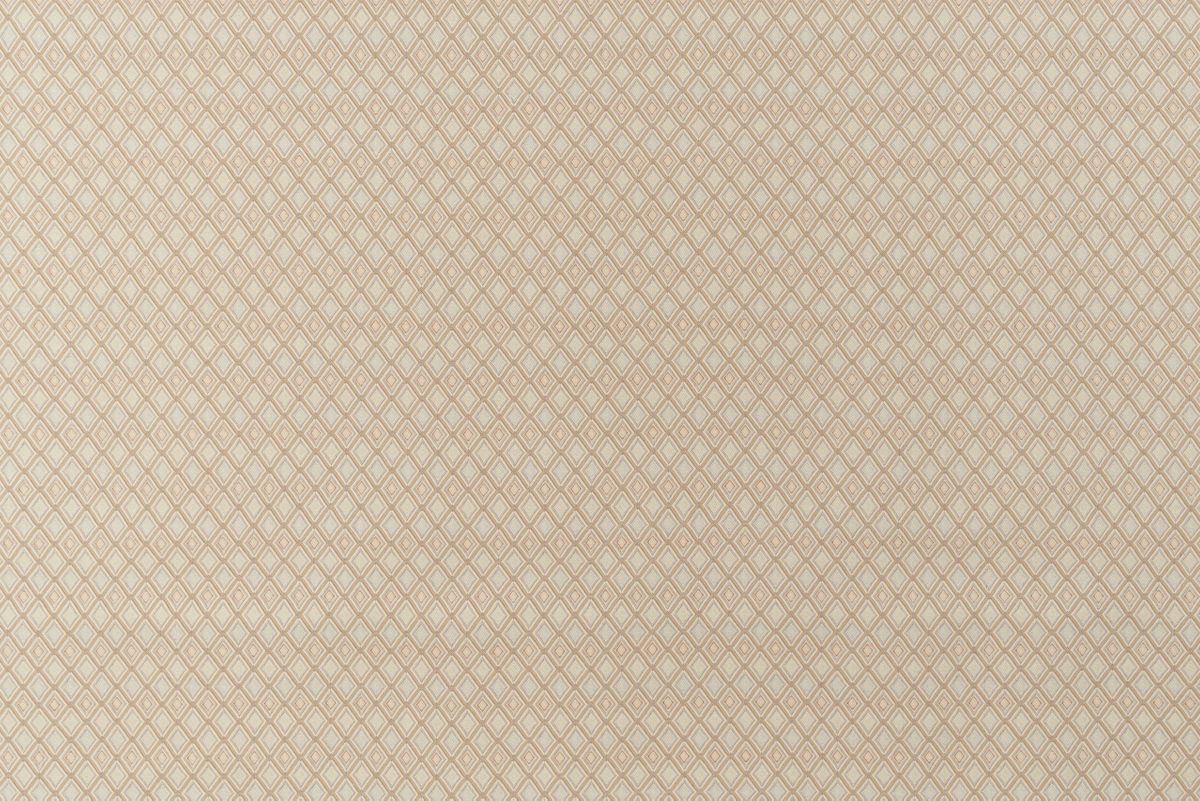 T01016282_ALT2