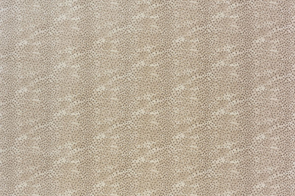 T01016439_ALT2
