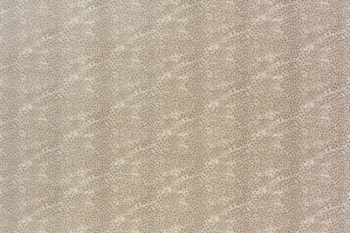 T01016439_ALT2