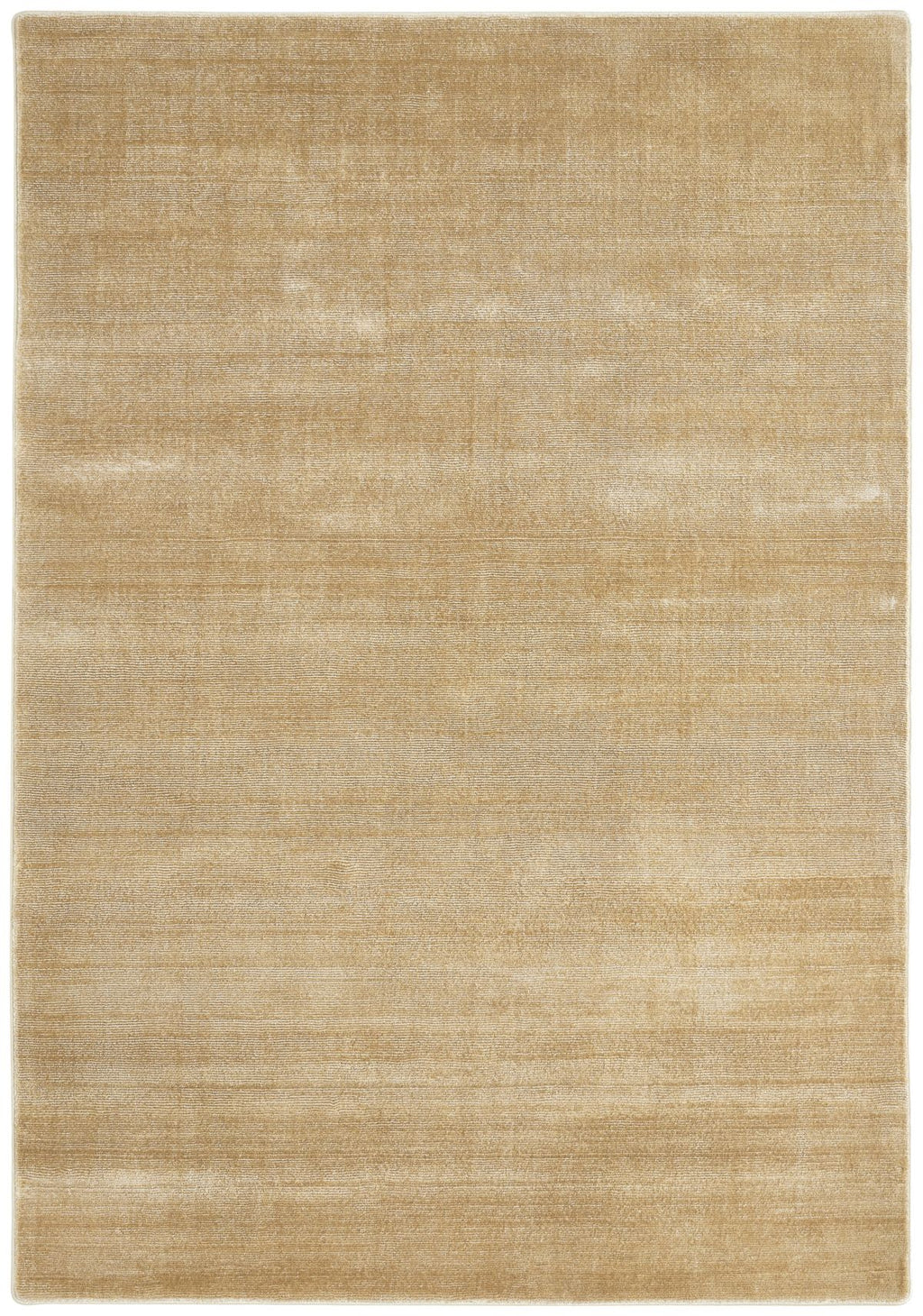 T01016480