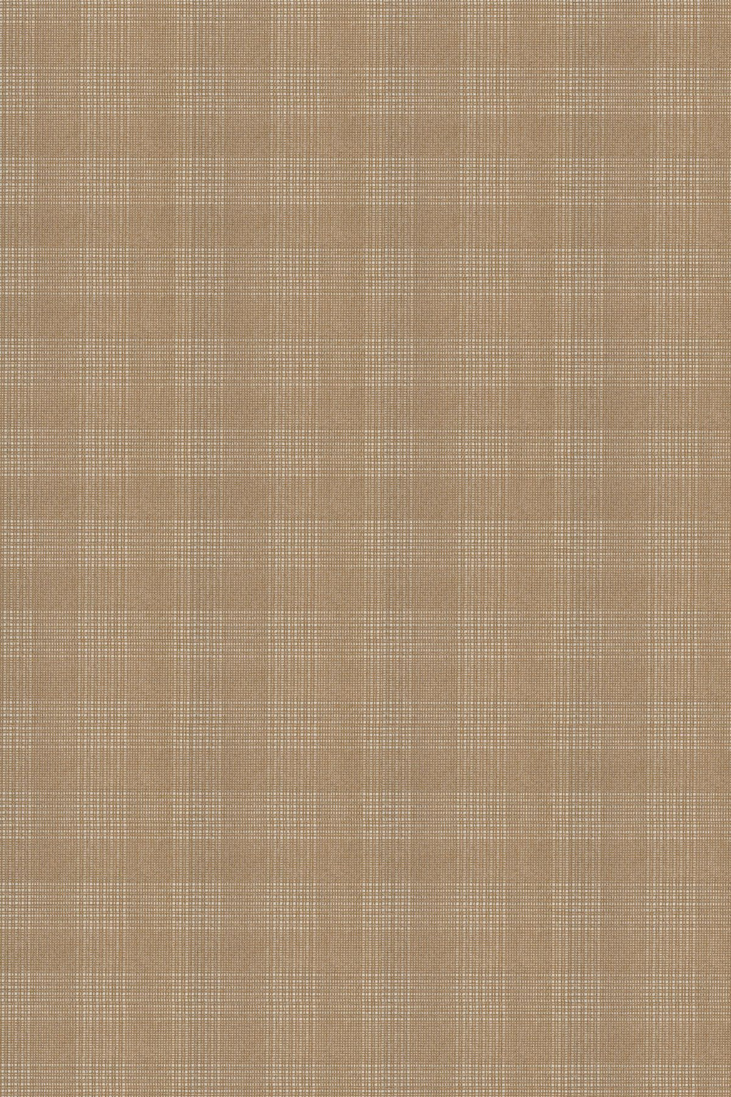 T01017468_ALT2