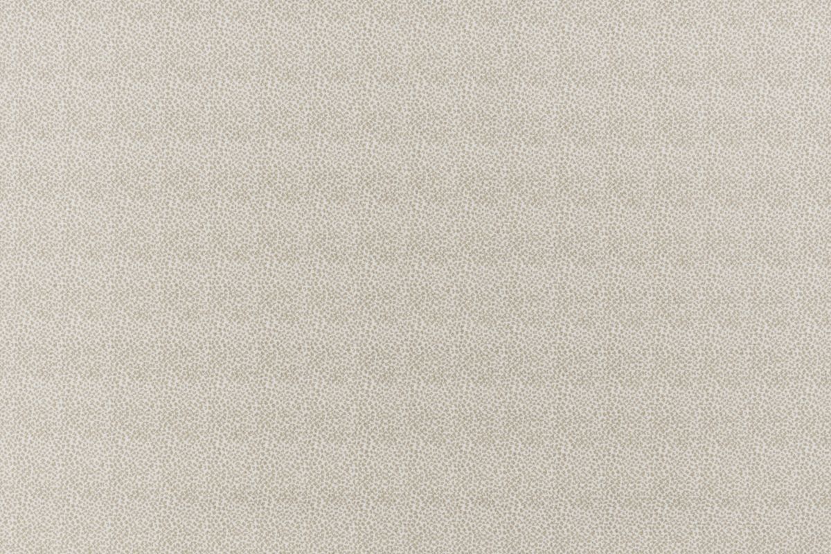 Pearl/dove