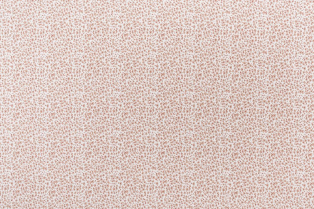 Carnation/dusty Rose