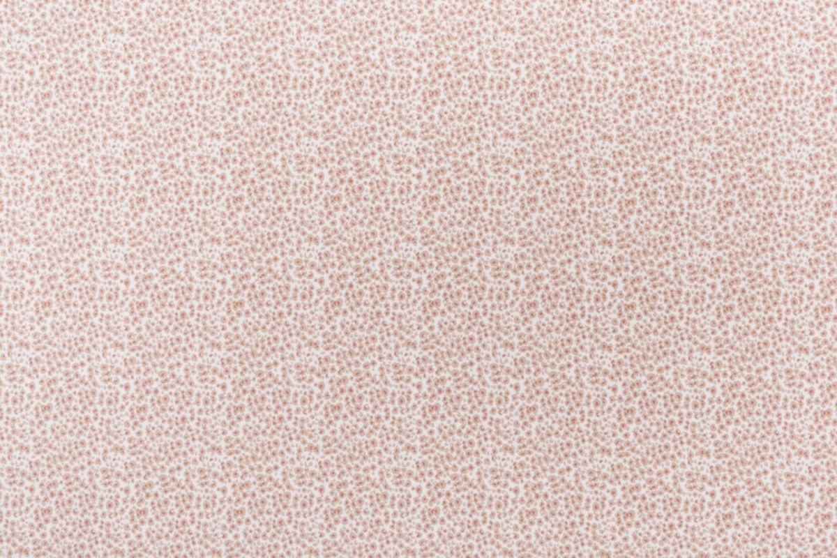 Carnation/dusty Rose