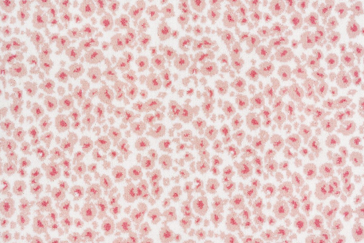 Carnation/dusty Rose